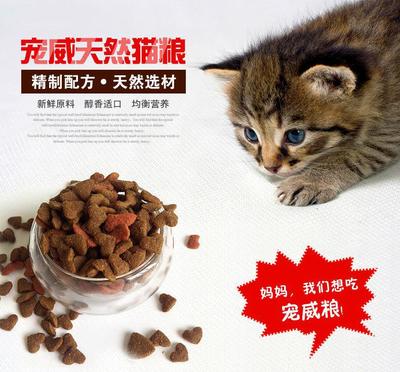 解决挑嘴难题 宠威10kg深海鱼味猫粮，让挑嘴猫也爱不释口